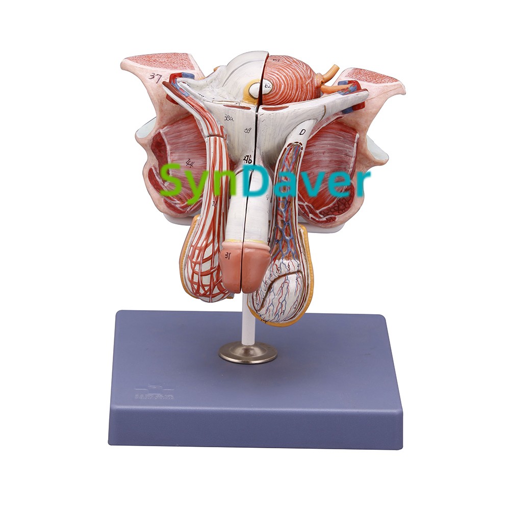 984153ad9d6cd345593a9b8cc75fb26c