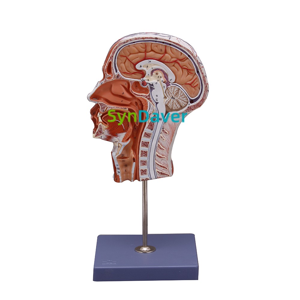 8330d3accfc8df47c84be5d5bba7ed21