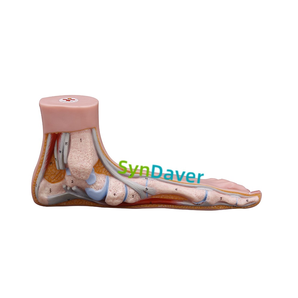 180f90da53d561363b96cbeb89e1715e