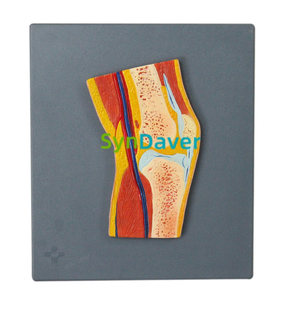 5d4ce0128eb39ea554f7fc2d048faa3c