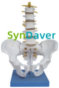 9a0bf806e935ab64c51c71e33d4aa2ab