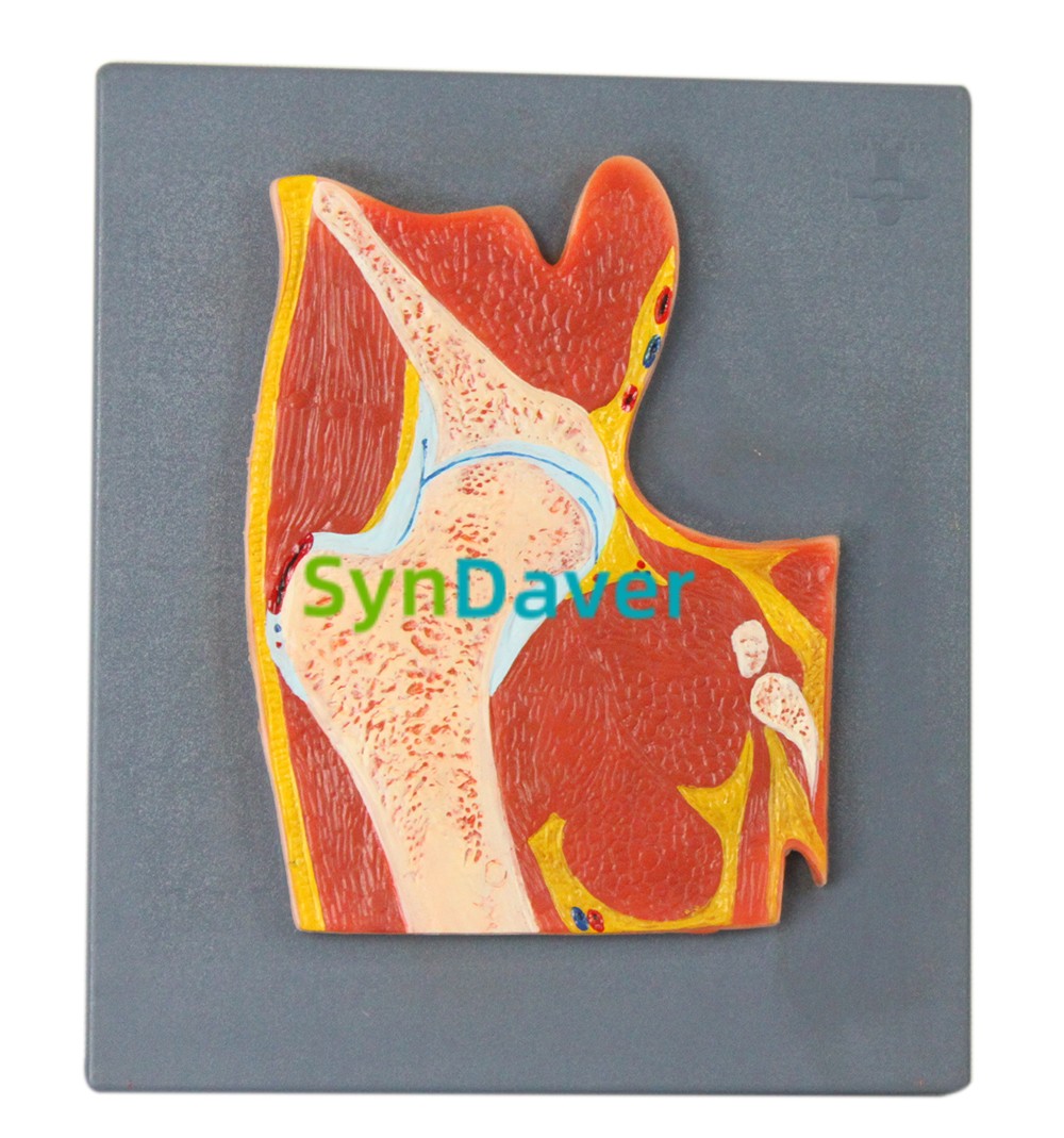 ef7bb4e4d94d979d1e5e89fb5758b16f