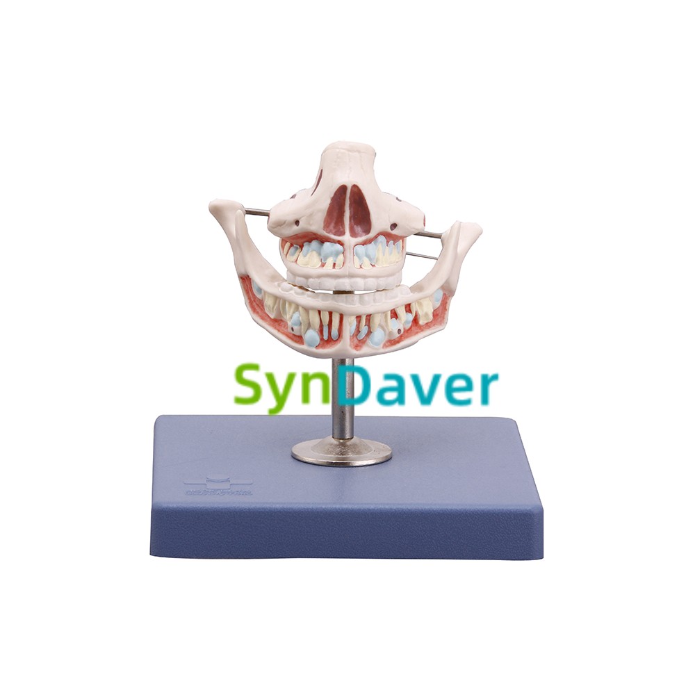 3d847aa706377bc22bb621bcad2e9bf0