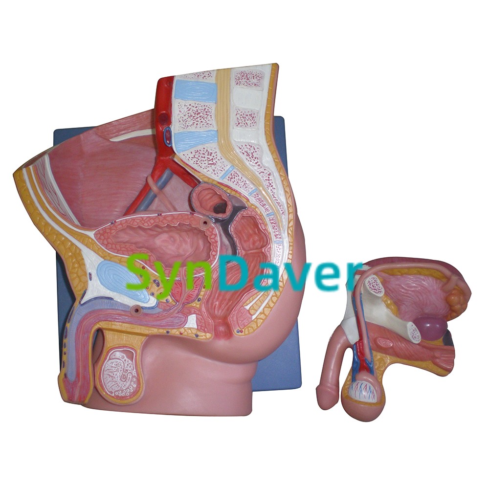 bdb300c9406542f0c83a259b9c4a4f8b