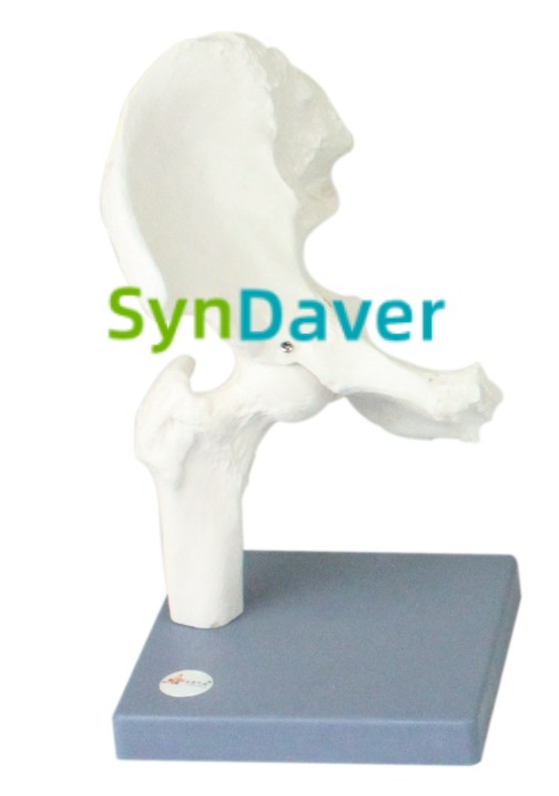 b0afb7914190360944994963830eeef9