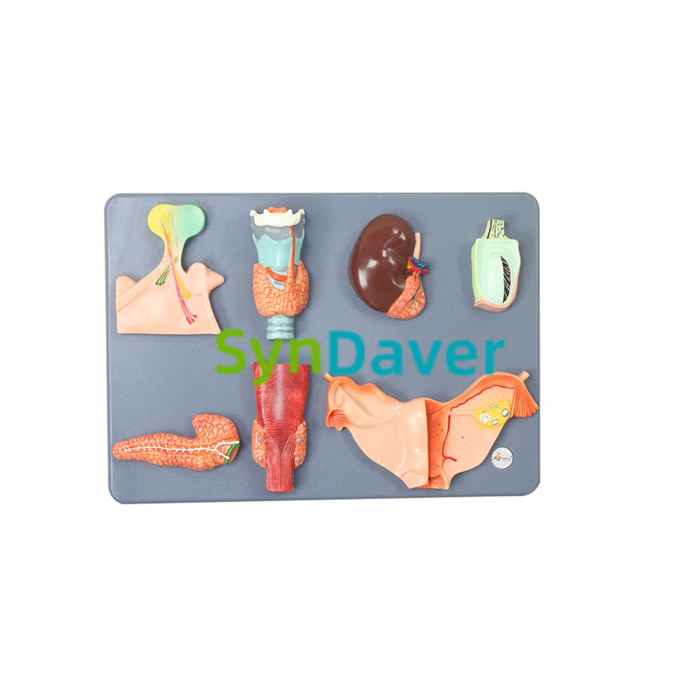 12568288839404b48ad962c54c7db33d