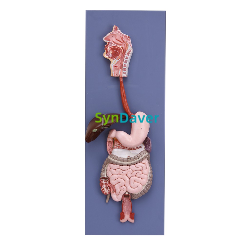 4089e976c5ca47a373680782aba899cd