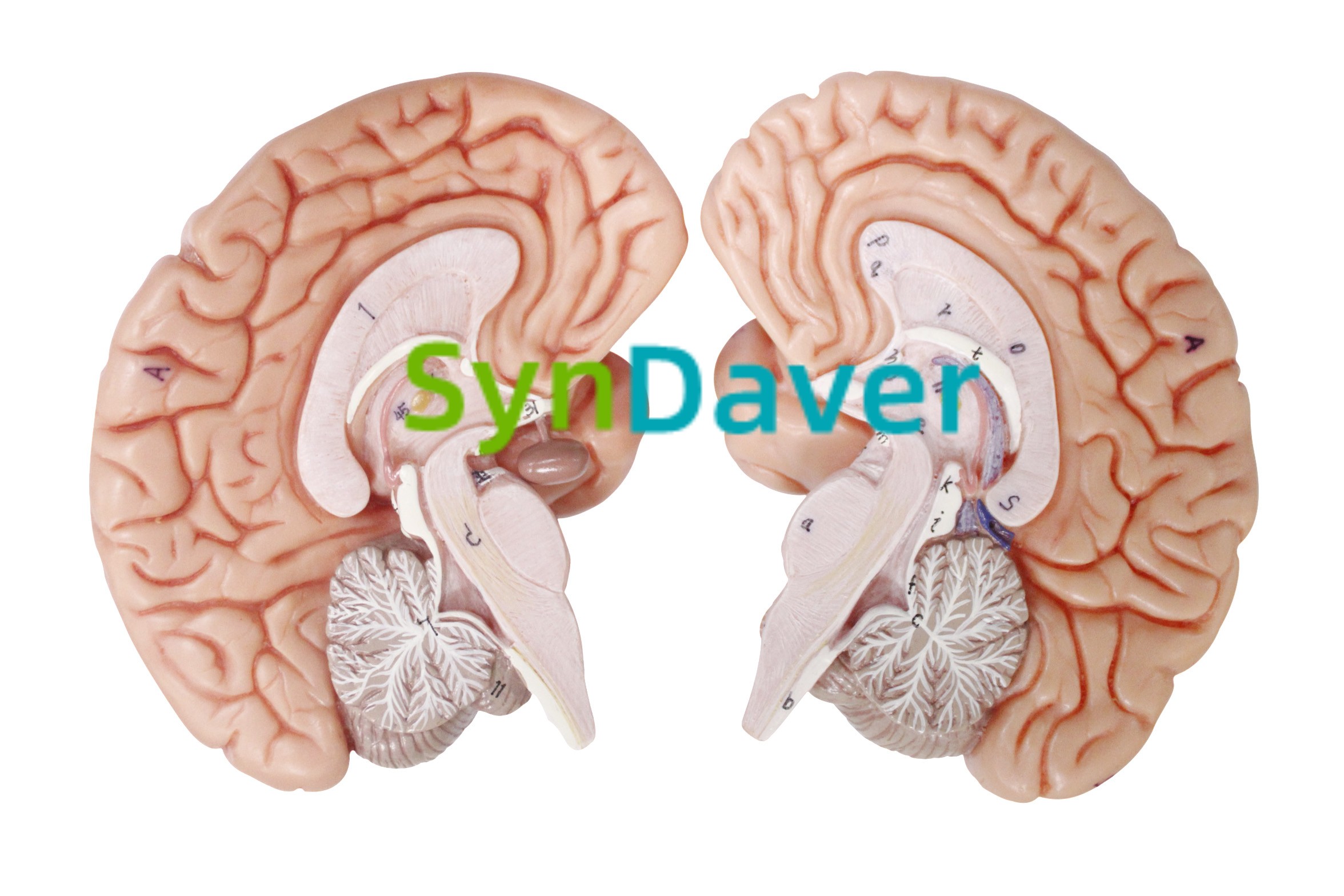 f1a30cd0b26838baf00f9040e2b510ed