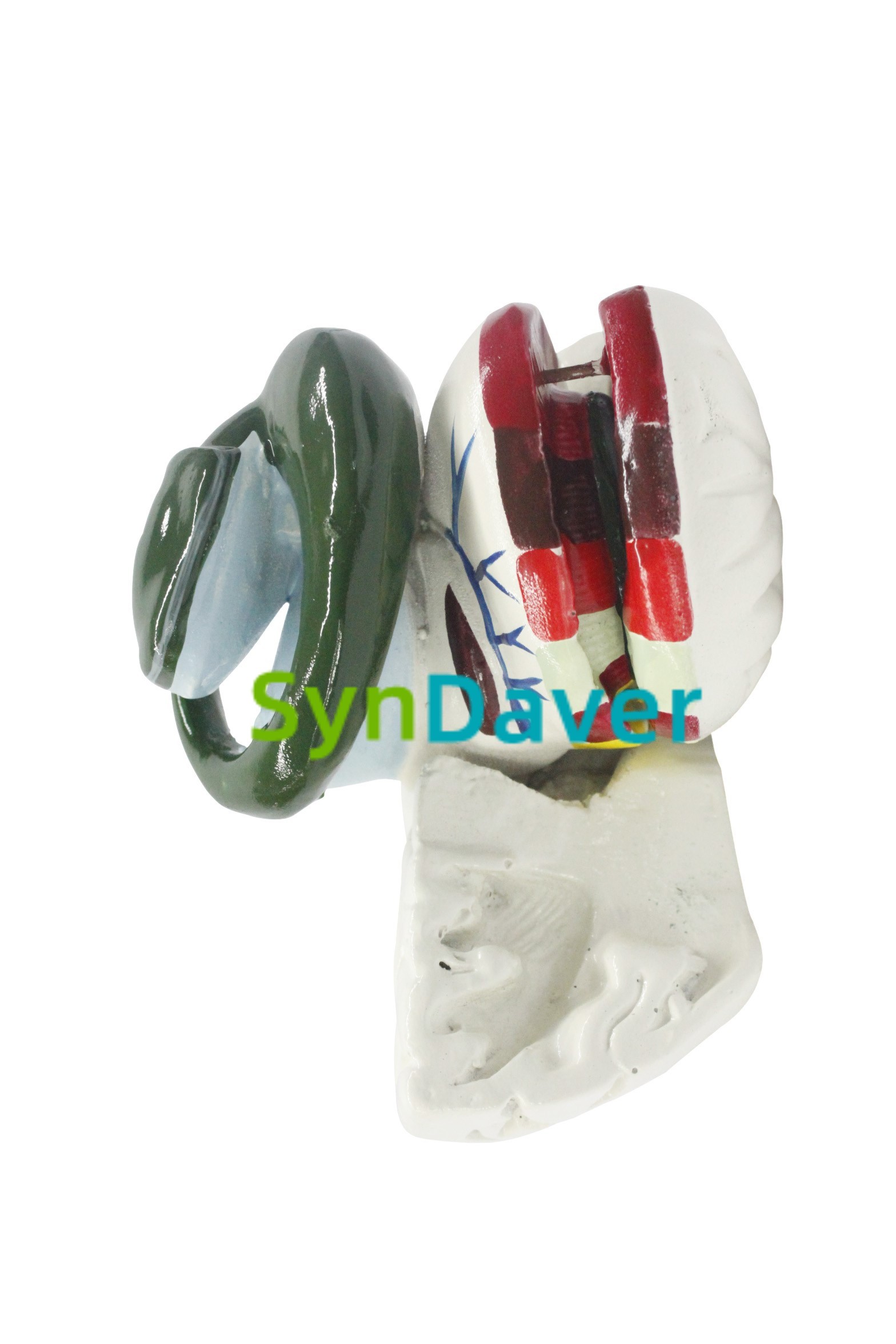 a51e2ce0d12ff463857ef755c4038451