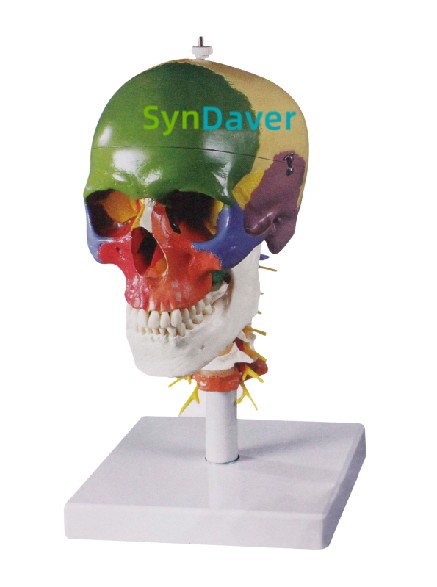 7e7a7c9efbf5addc0cd7bc9cec546ed5