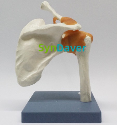 5c18f113bc1f577d3c1275801bda1446