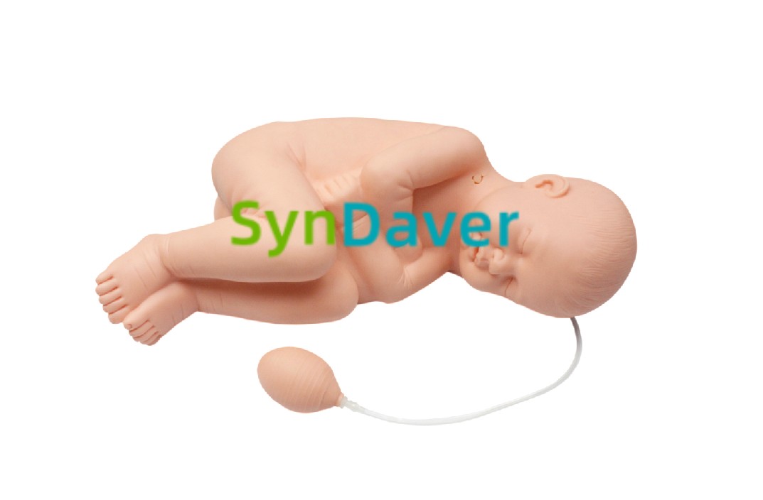 8fc3e7954e7df5416c4d7d2d4f9e2b07