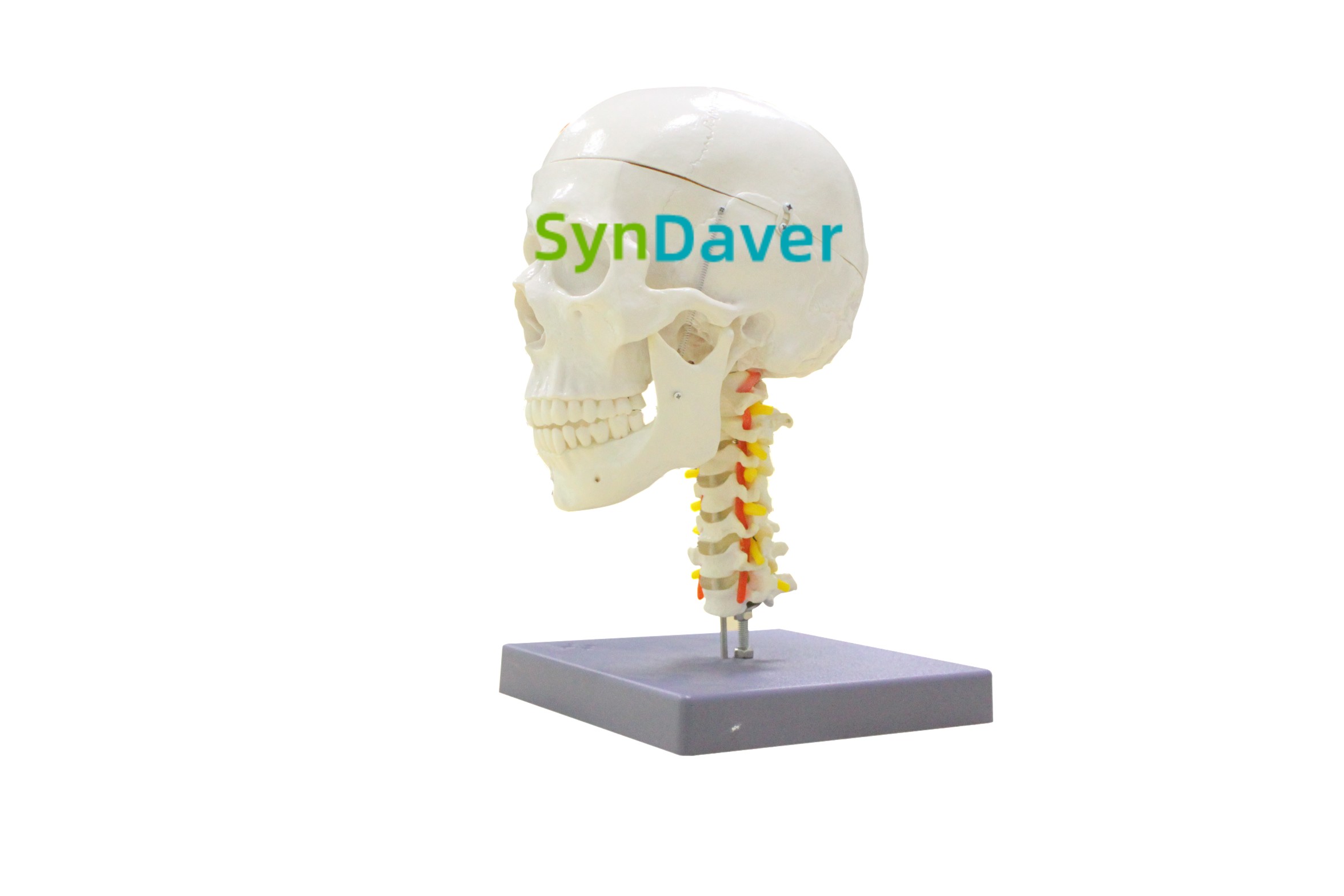 18dc3f0c4a9d7e2eadf69900cea75666