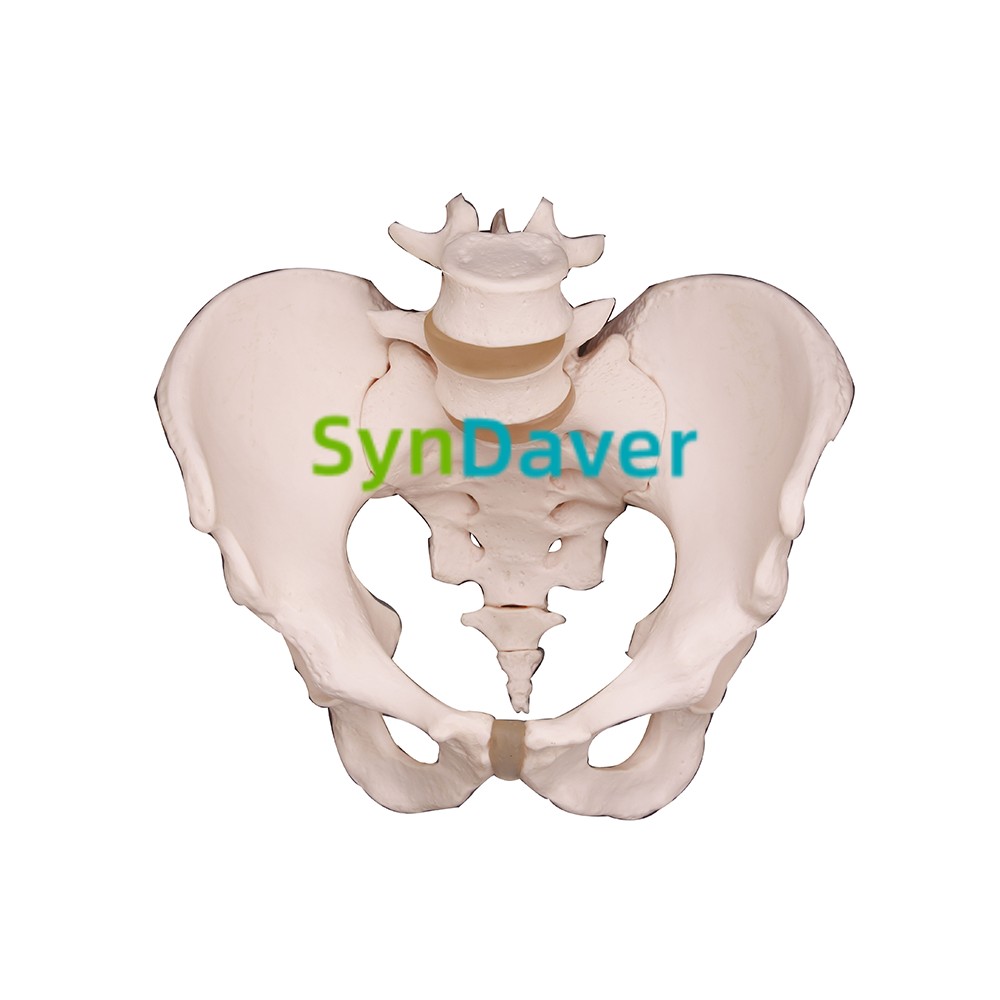 86c0985c56b696a1d724ff06ee56b9ca