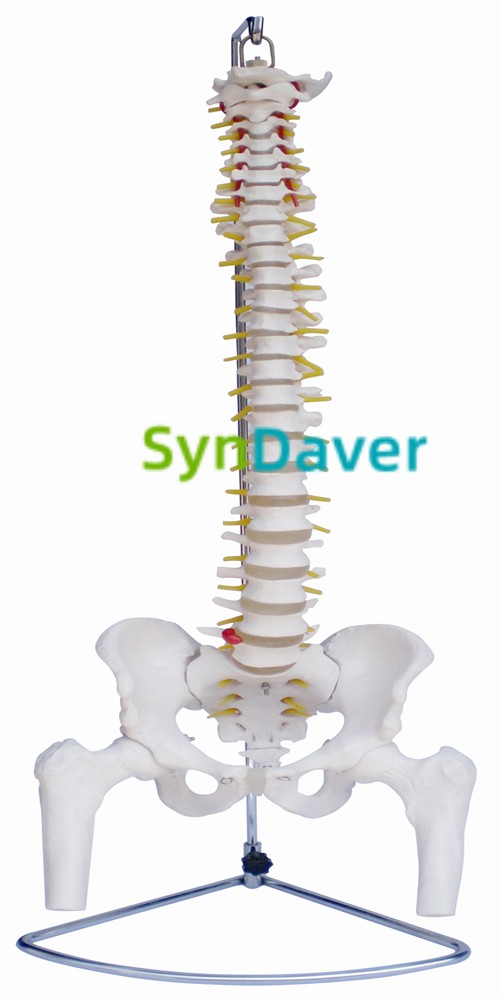 16860d95912516c60567cdf02232bd8e