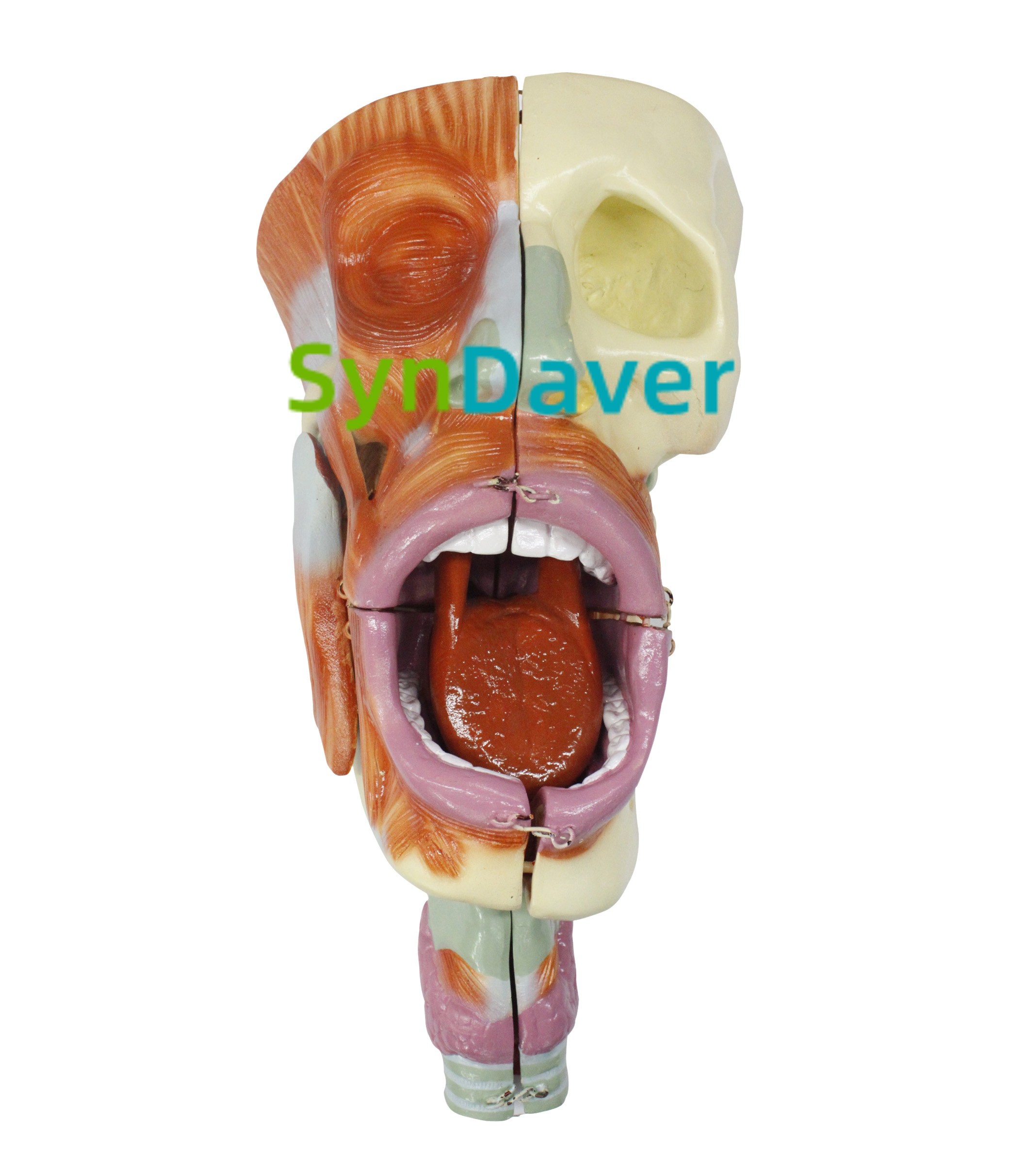 6d8cc14bfd31d0a0aac7ba3154c92d65