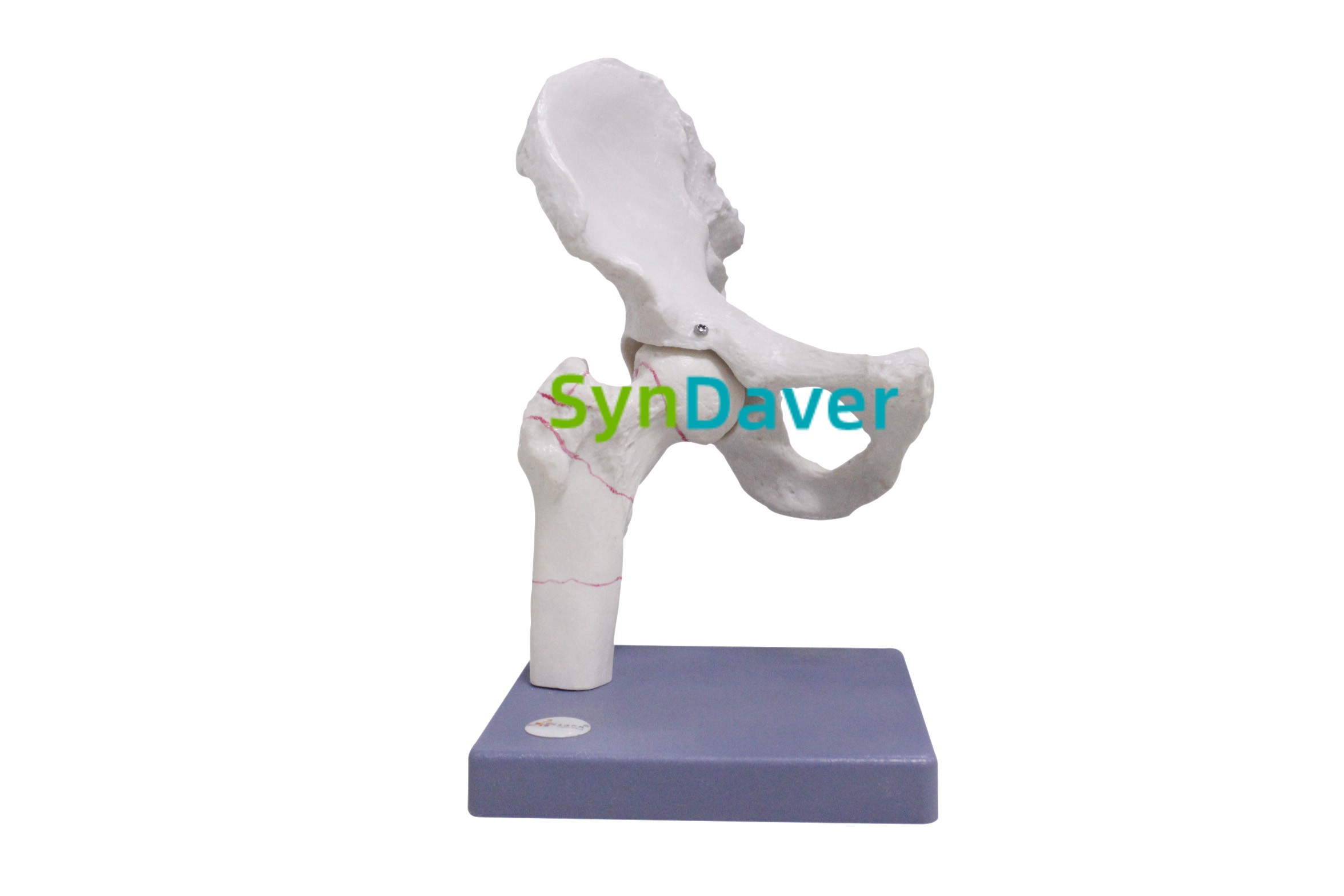 9bd210051ddb54b46fc53f7bbfa94266