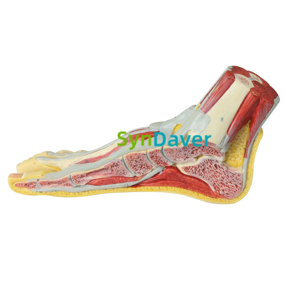 2a915e72a0f23ffcd9b805c12b57e44c