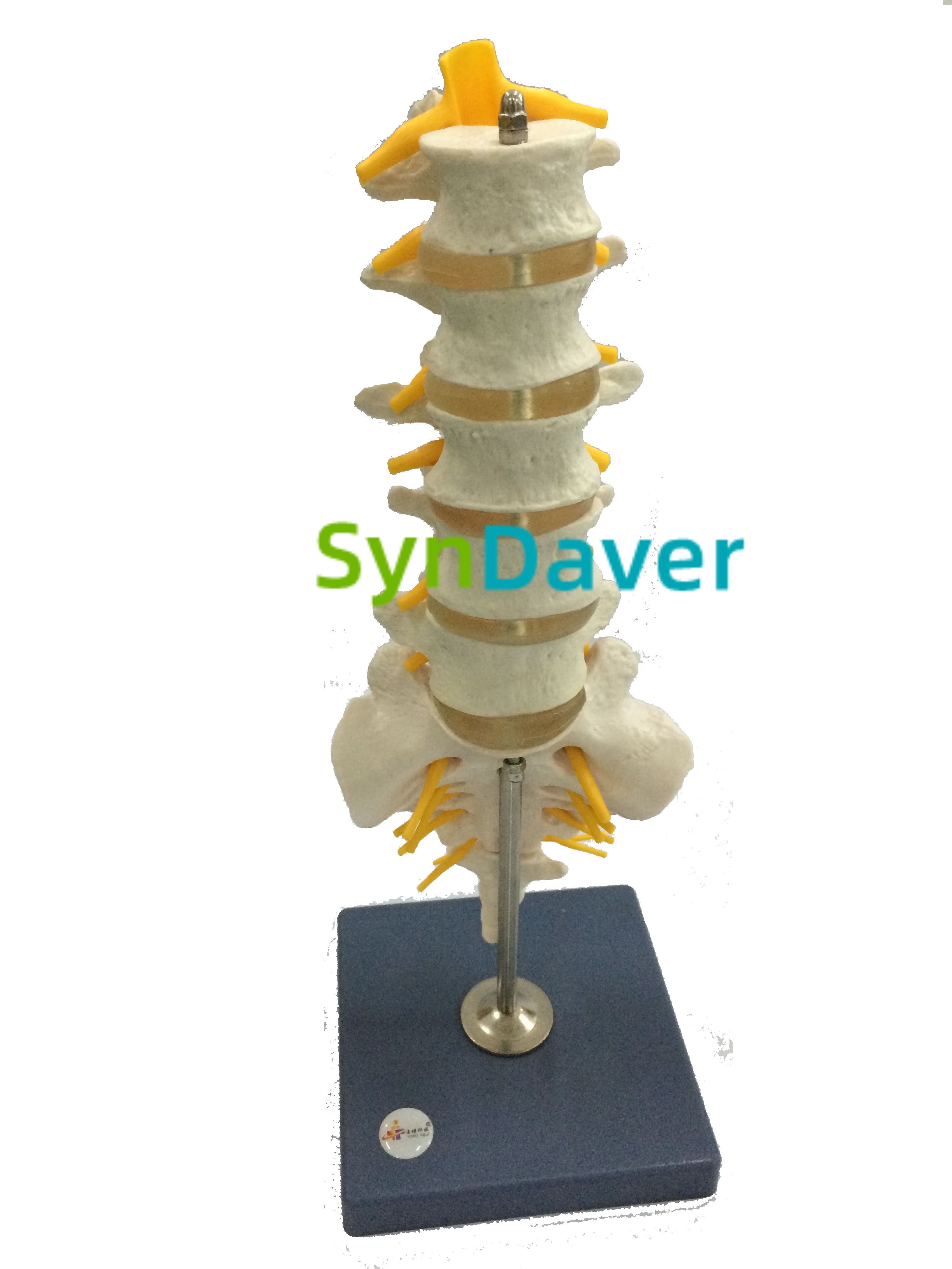 372980bac187fb1e18ebf8b121f4cea9