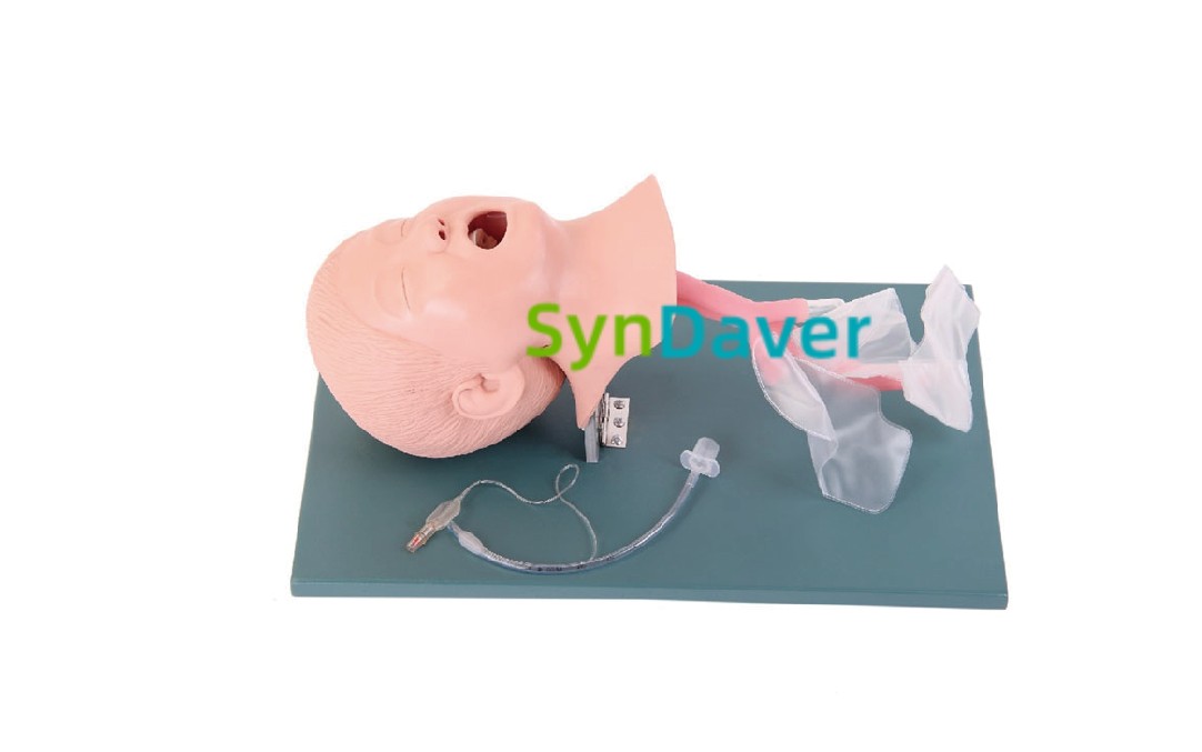 09259a3cd64a5760c8e159065a9e3326