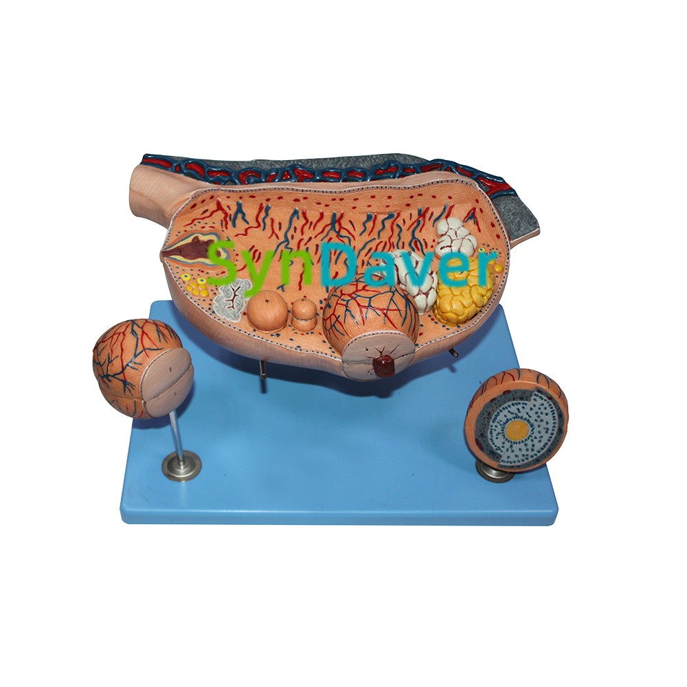 981ea88970739e3494f98e8f1c53ccdb