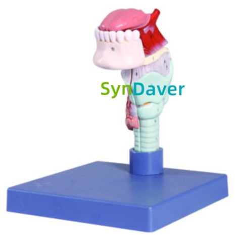 f855e83b342032bf1f91d685dd4ffa45