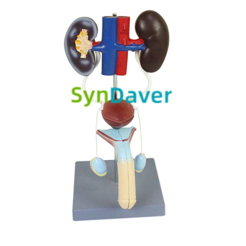 c7683a0aabcc11181699166b9d0edb80