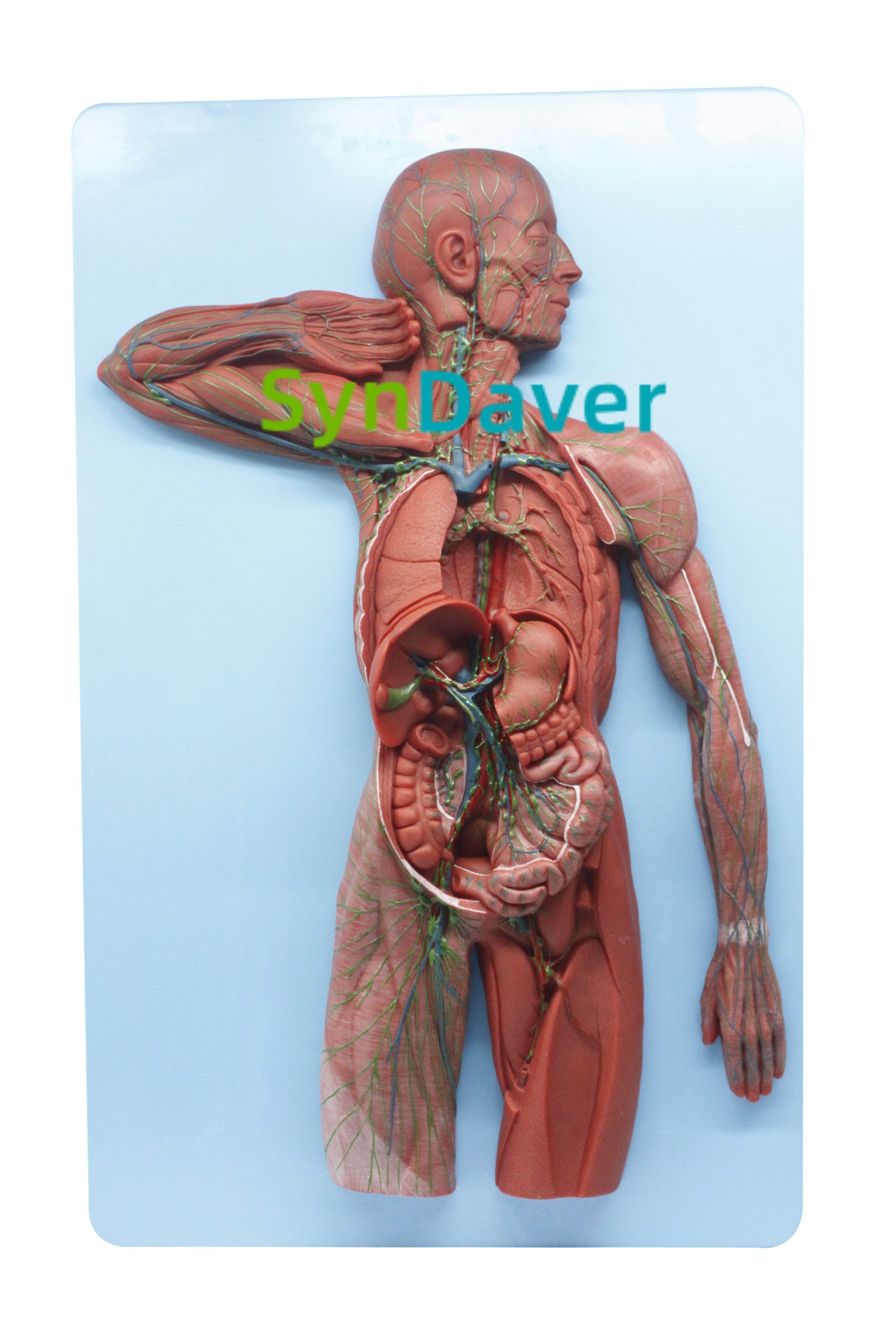 f2b2609265d142d377904858b4b27c3a