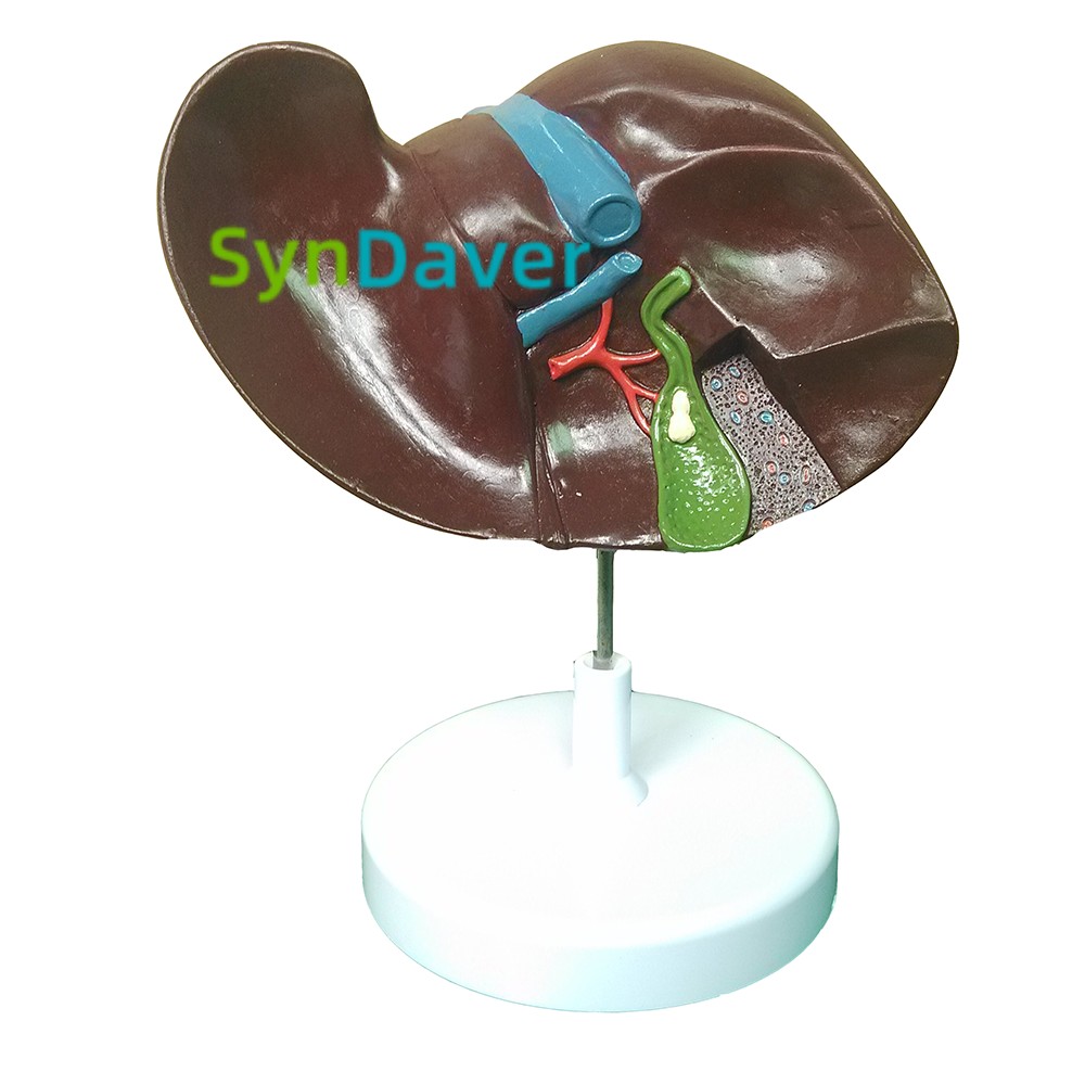 bed56c37d00f821c22dec34526ec7d4c