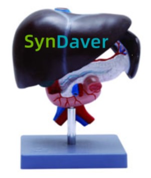 3dcde291f3e127e68fb26f8577d55b25