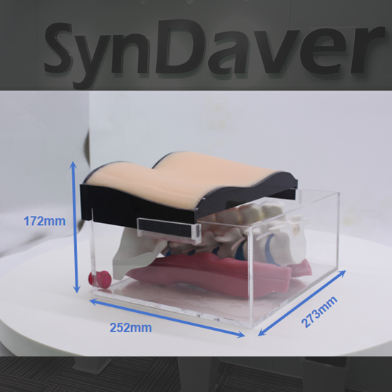 微信图片_20240229122258(1)_副本