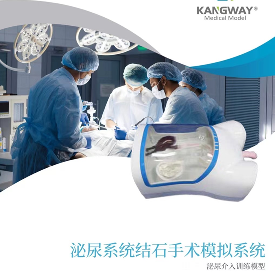 微信图片_20240628092811_副本